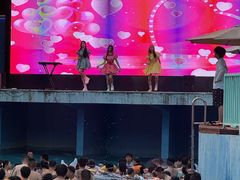 -武汉市青少年宫水上世界
