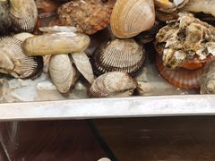 -渔码头食府(蓬莱阁店)