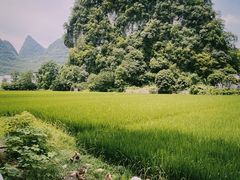 -村上春树