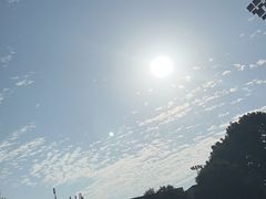 -河南财经政法大学(郑东校区)