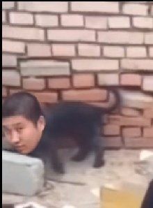 -五月古筝钢琴私塾