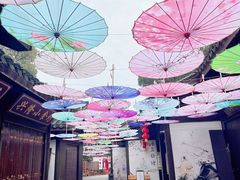 -天目湖山水园