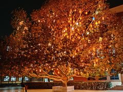 -北京市海淀外国语实验学校