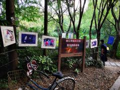 -陈家山荷花公园