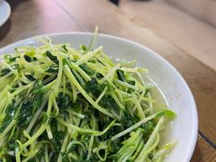 酒香豆苗-沈记菜馆(酒仙桥路店)