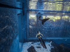 -成都浩海立方海洋公园