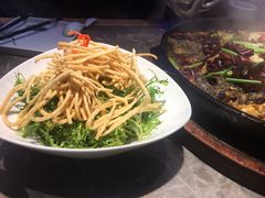 -老板恋上鱼(恒隆广场店)