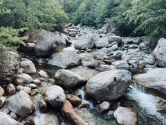 -青峰峡国家森林公园