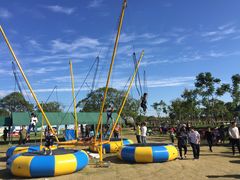 游乐设施-上海长兴岛郊野公园