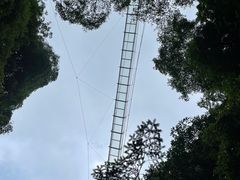 -藏龙百瀑风景区