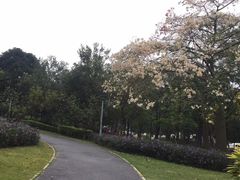 -广州市帽峰山景区