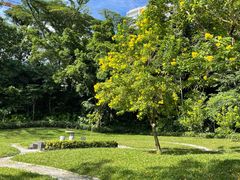 -深圳国际园林花卉博览园