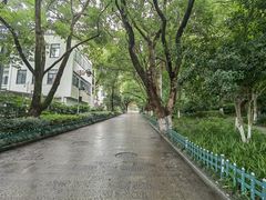 -杭州半山国家森林公园