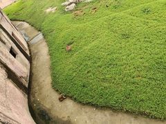 -南昌动物园