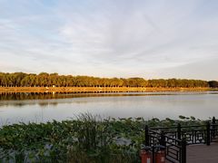 -素心小筑(后沙裕镇店)