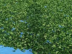 -文雅轩茶叶(锦和越界田林坊店)