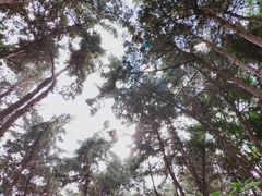-南诏风情岛