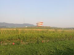 -光明小镇欢乐田园