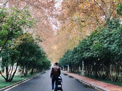 -河南省黄河迎宾馆