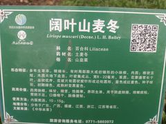 -广西壮族自治区药用植物园