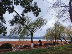-西湖游船