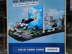 -美联英语(绿宝中心)