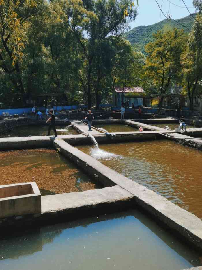 双新垂钓园-"来过很多次了 门口有免费的停车空地 进门.