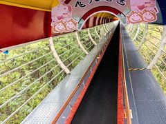 -墨江北回归线标志园