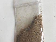 -洪记白水羊头(留学路店)