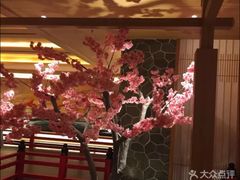 -蓝鲸湾汤泉(包河店)