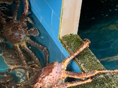 -海峡水产品交易中心(海鲜交易区)