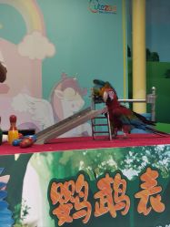 -酷嗒动物文化乐园(cutezoo西溪乐天城店)