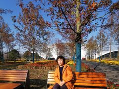 -上海长兴岛郊野公园