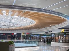 -鲜芋仙(高新益田假日里店)