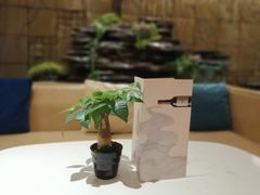 -亚洲国际大酒店