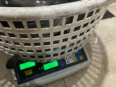 -边江铁锅炖鱼(振八街店)