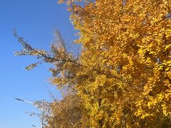 -浙江农林大学(东湖校区)