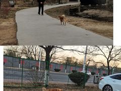 -白水寺森林公园