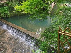 -龙坞茶村