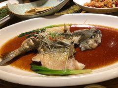 索马里海鲈鱼-苹果树下艺术餐厅(通州店)