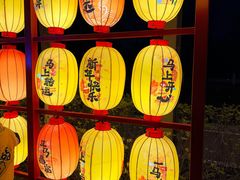 -武汉园博园(武汉自然博物馆)