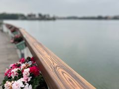 -仙湖旅游度假区