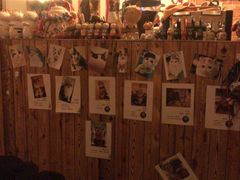 -名猫咖啡馆·撸猫·拼豆