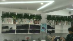 点击看大图 -小齐发型Star~salon