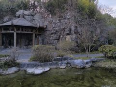 -上海吴淞炮台湾国家湿地公园