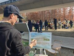 -白鹭湾湿地公园