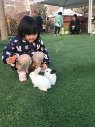 -萌宠亲子动物乐园(槐房万达店)