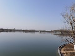 -大兴滨河森林公园