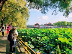 -长春市南湖公园