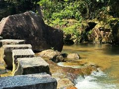 -广州白江湖森林公园